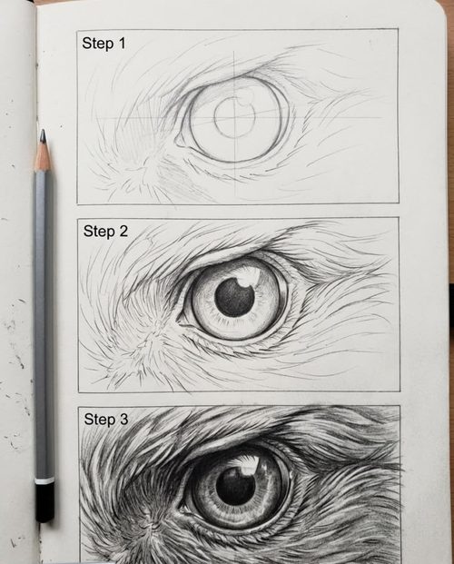 Ejemplo de dibujo realista 6