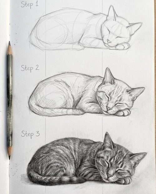 Ejemplo de dibujo realista 8