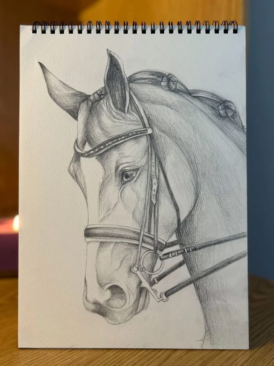 Retrato de un caballo a lápiz